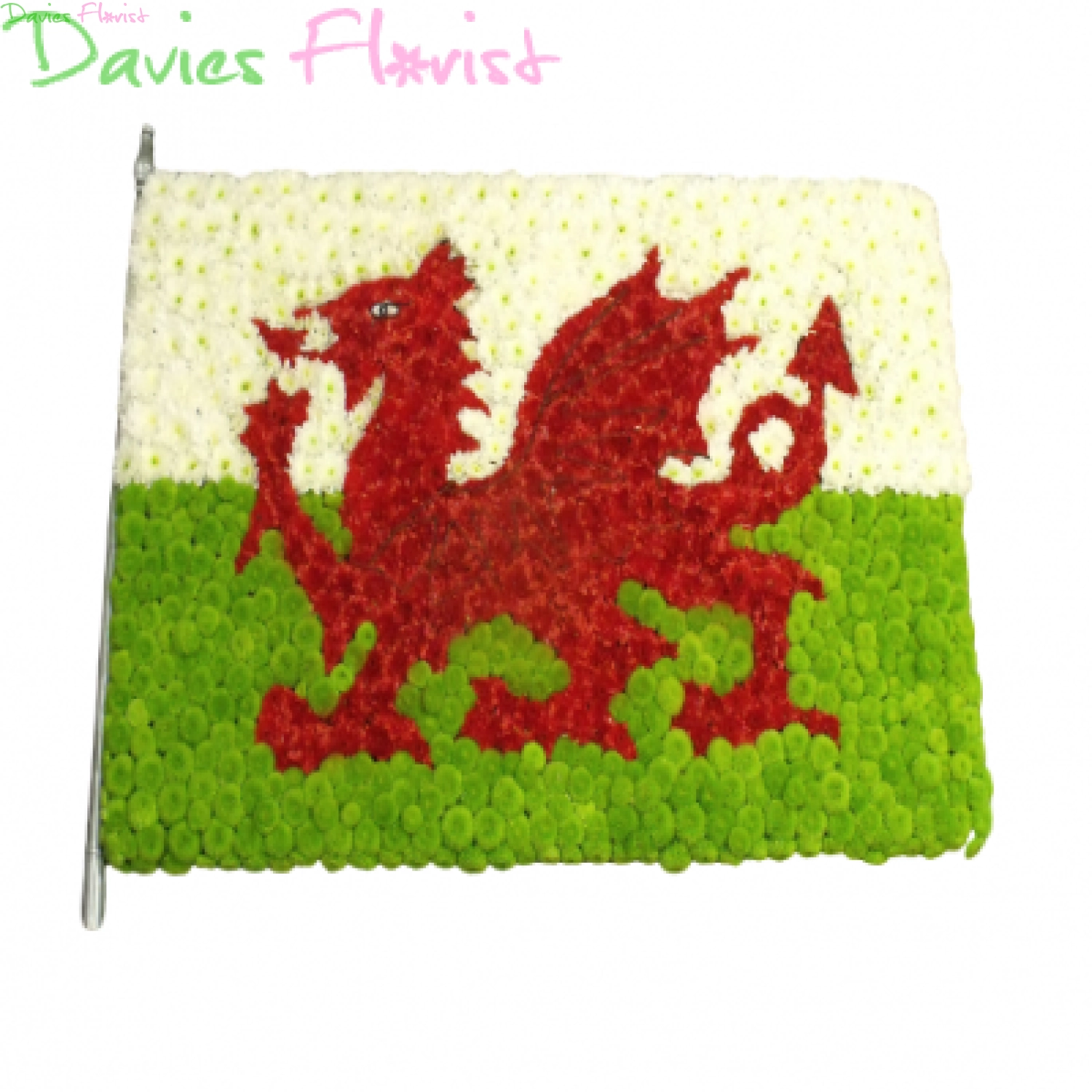 Welsh Flag In Flowers