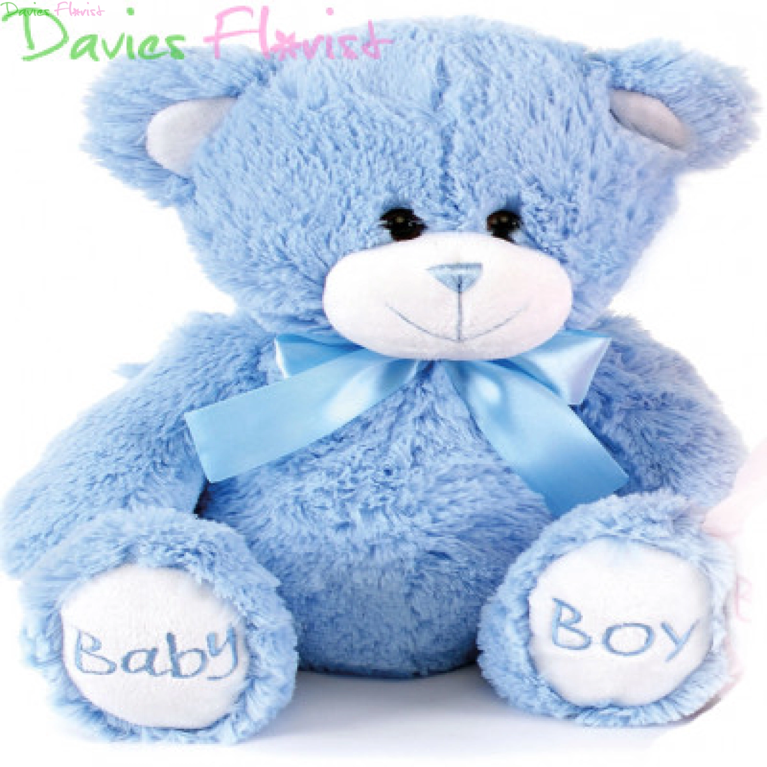 Baby Boy Teddy