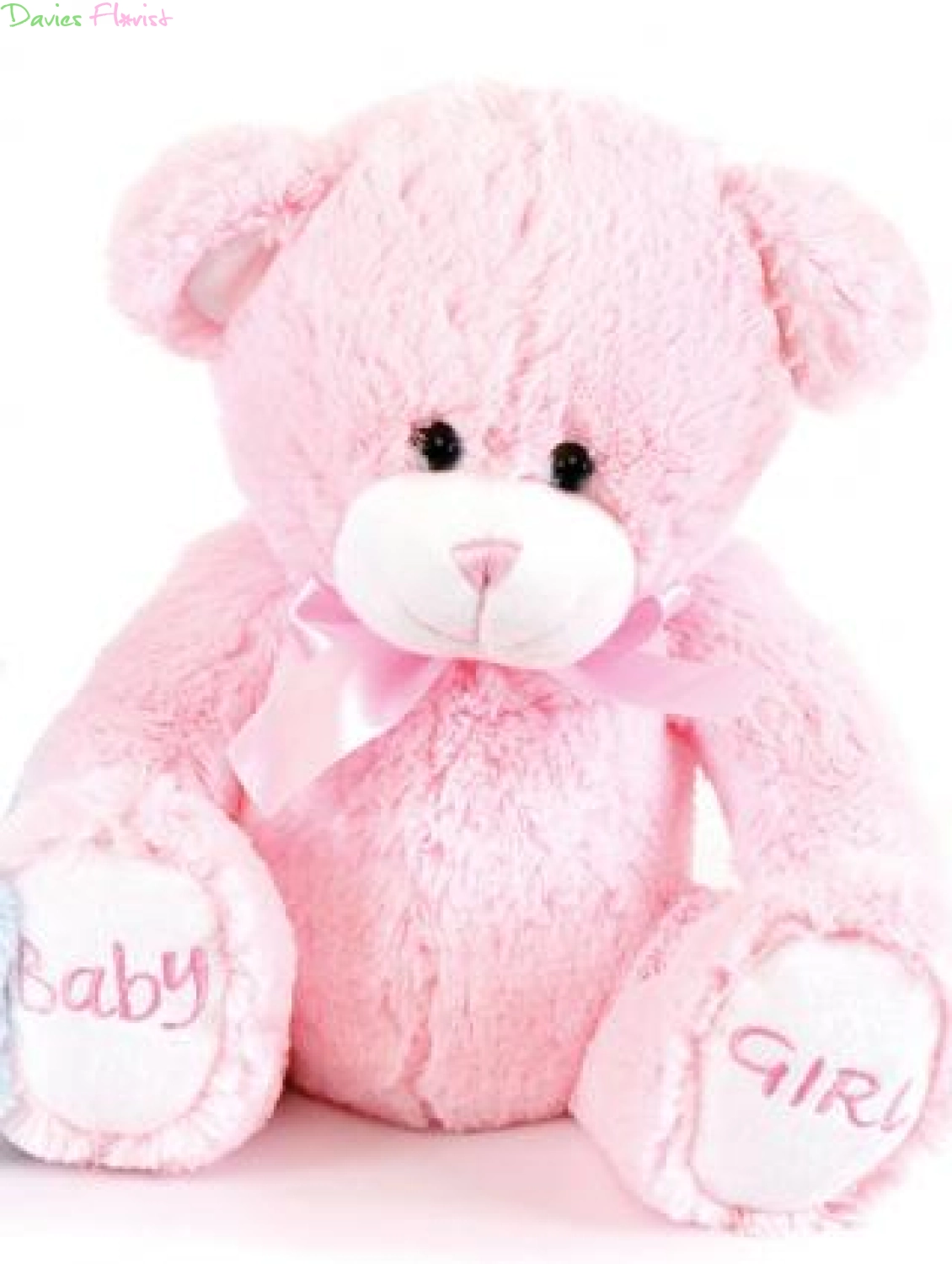 Baby Girl Teddy