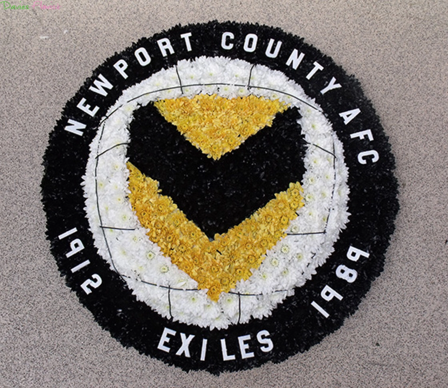 Newport County Badge