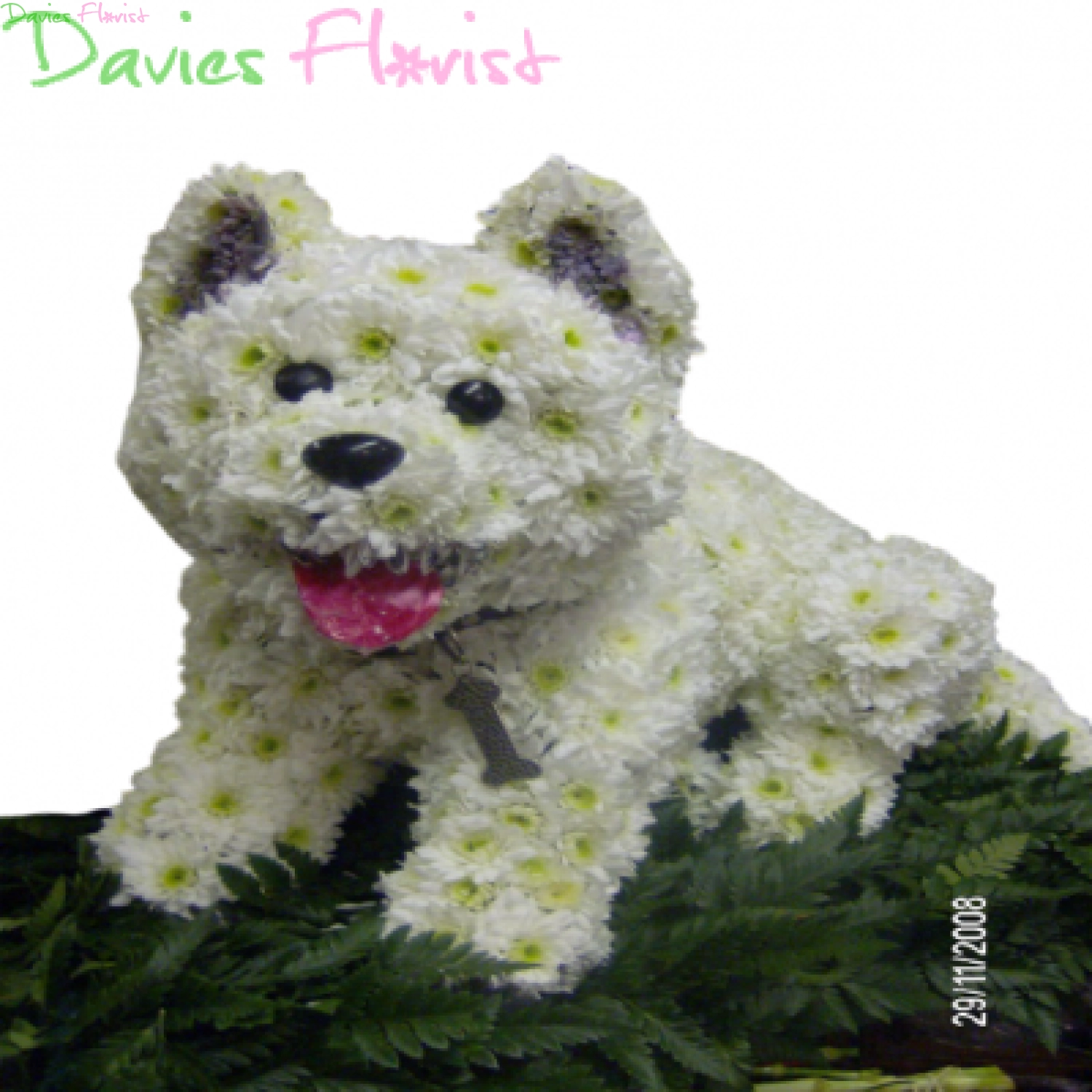 3D Dog Funeral Tribute