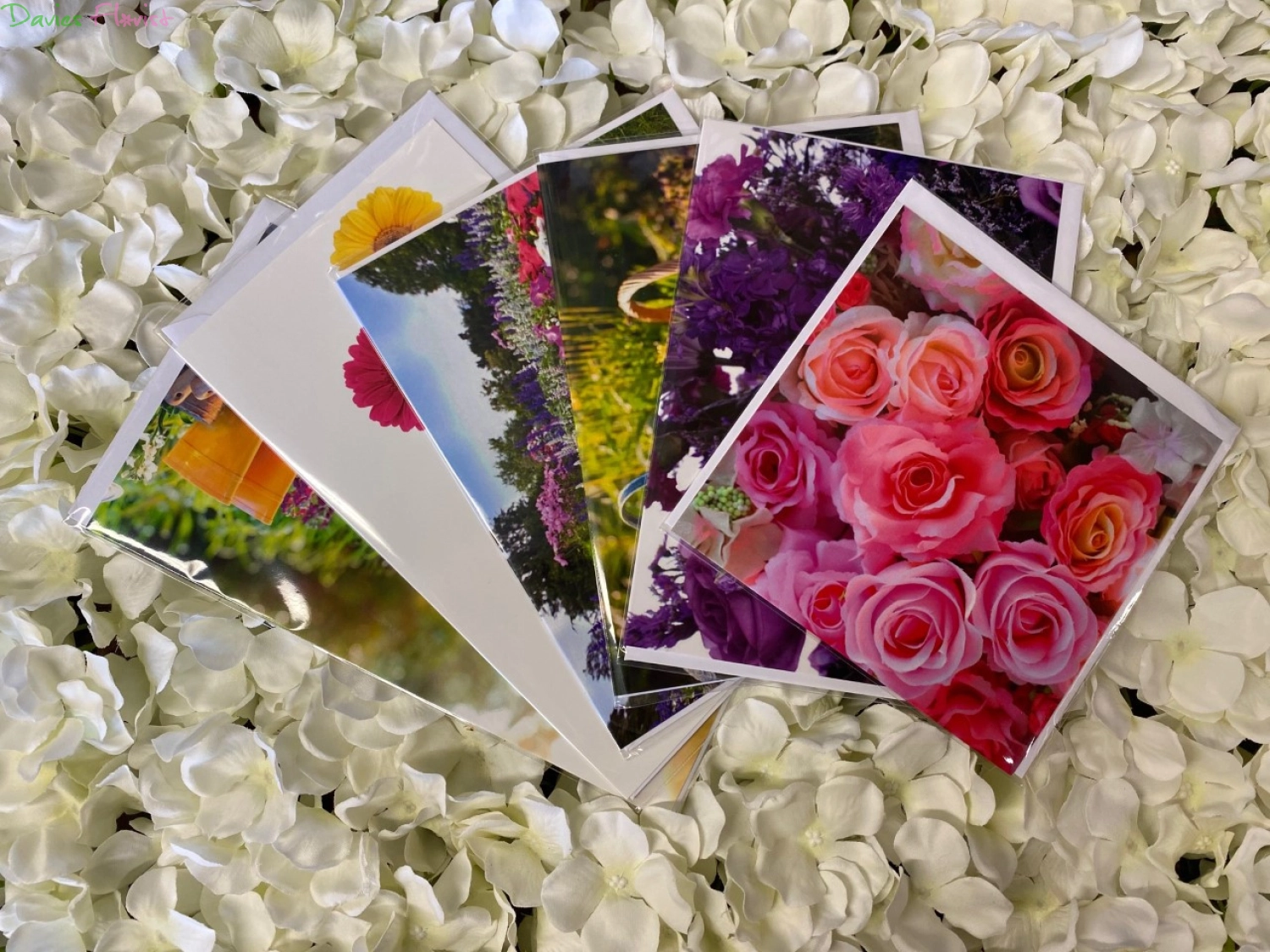 Large Greeting Card
