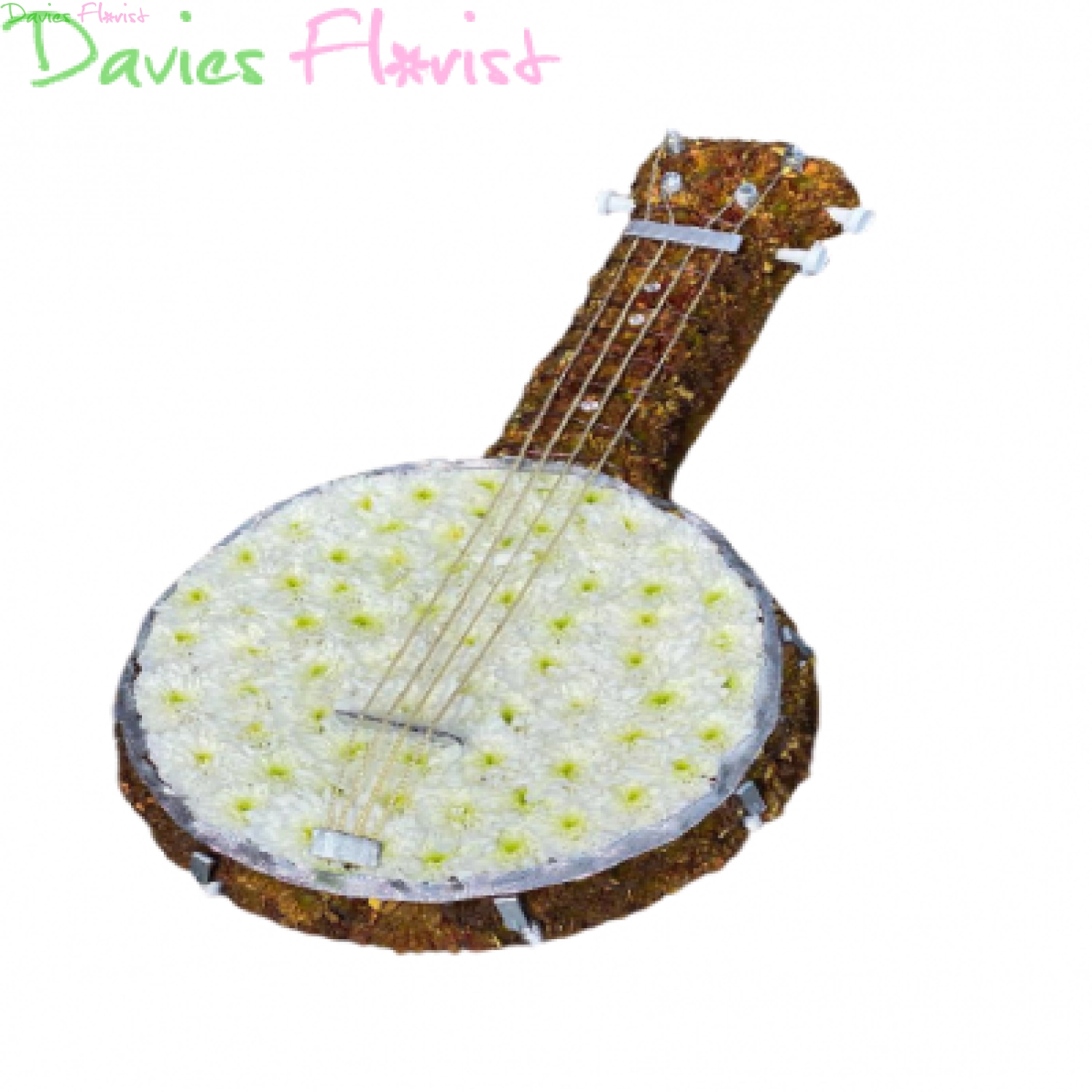 Banjo