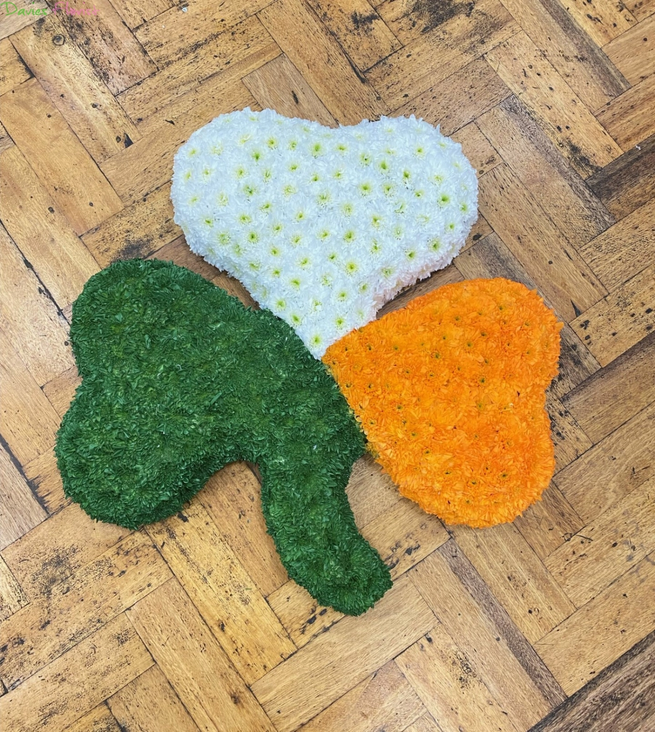 Shamrock in Irish Flag Colours