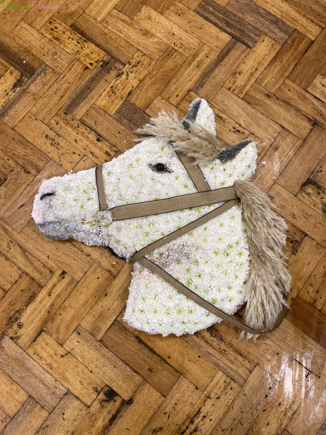 Horses Head