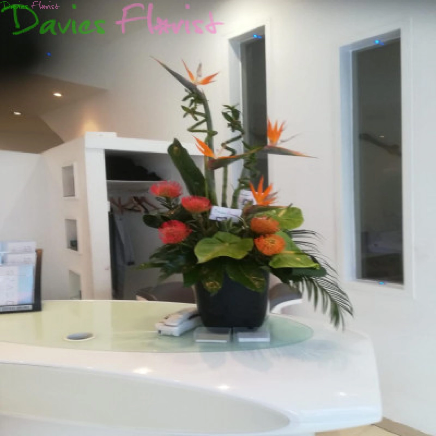 Modern exotic arrangement