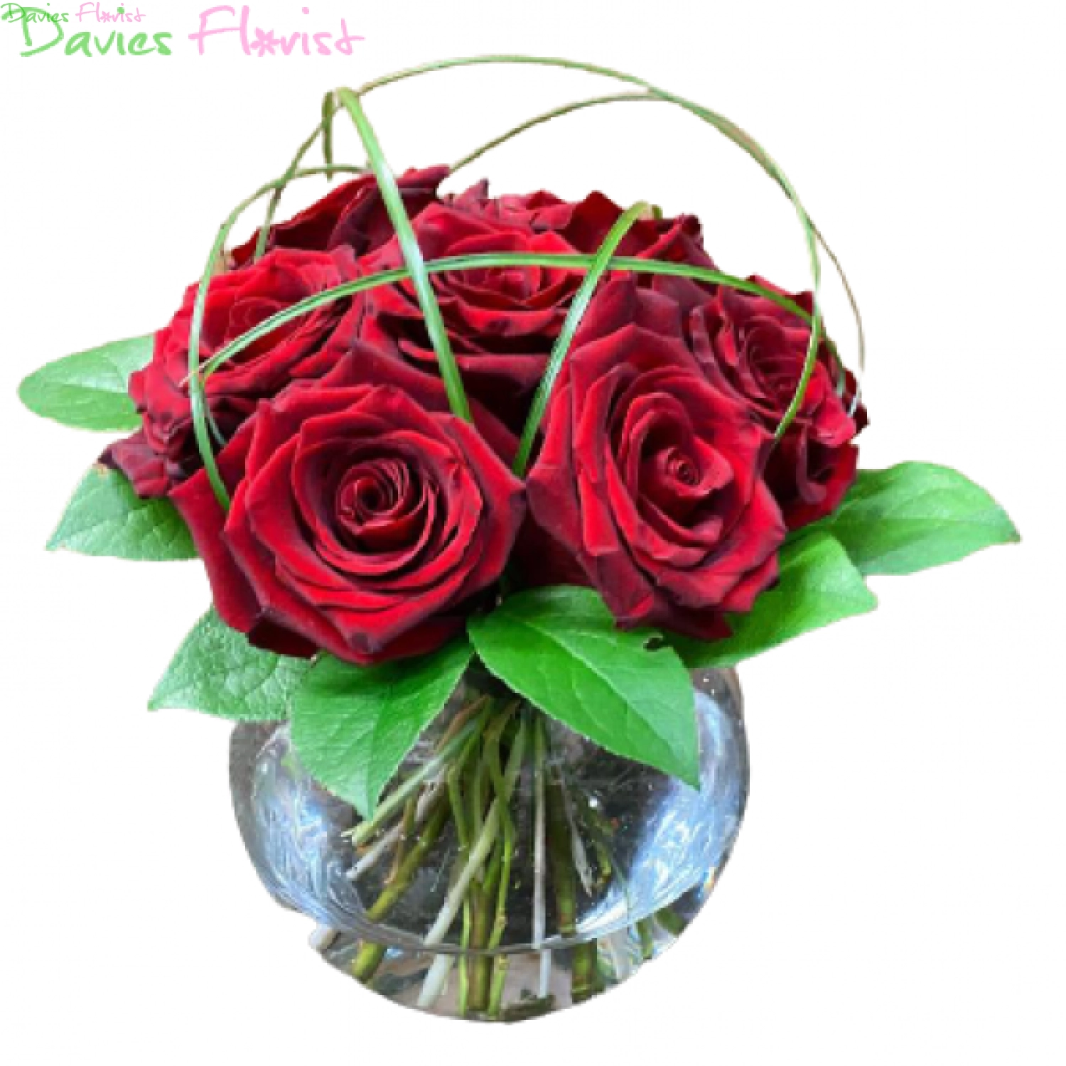 Red Roses in Fishbowl