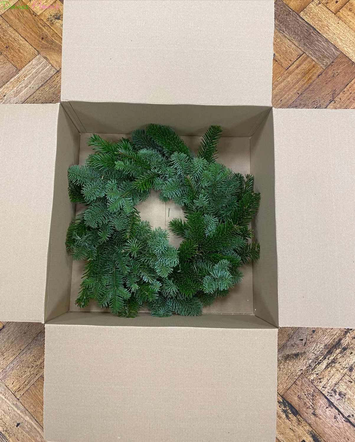 Plain Spruce Wreath