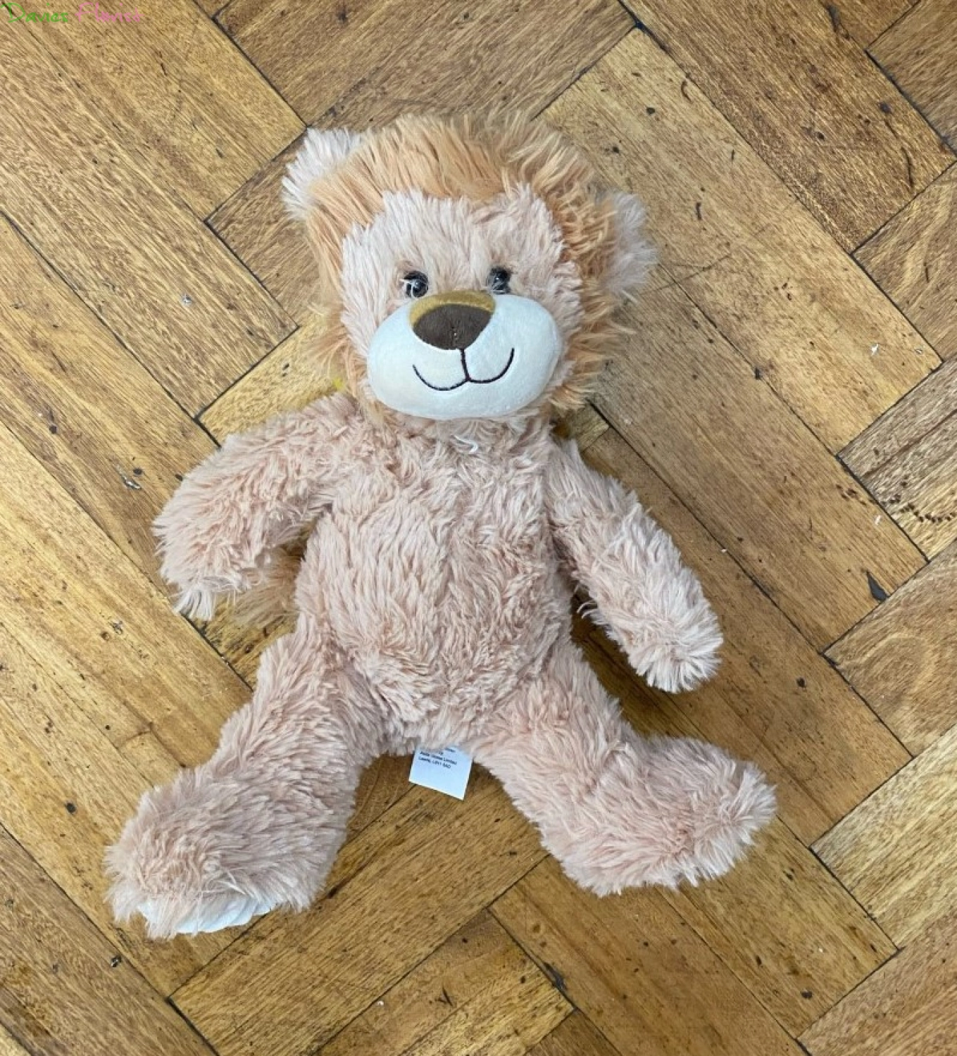 Lion Teddy