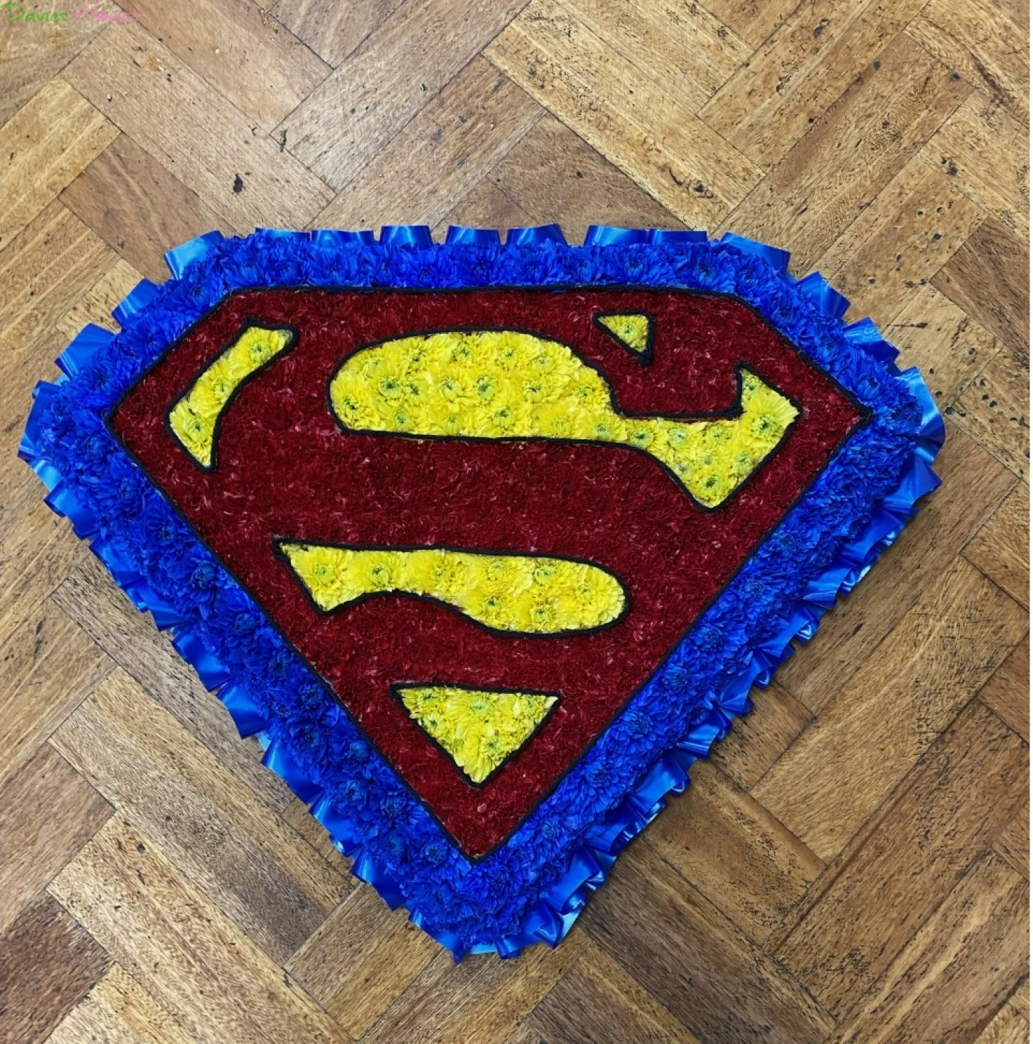 Superman Badge
