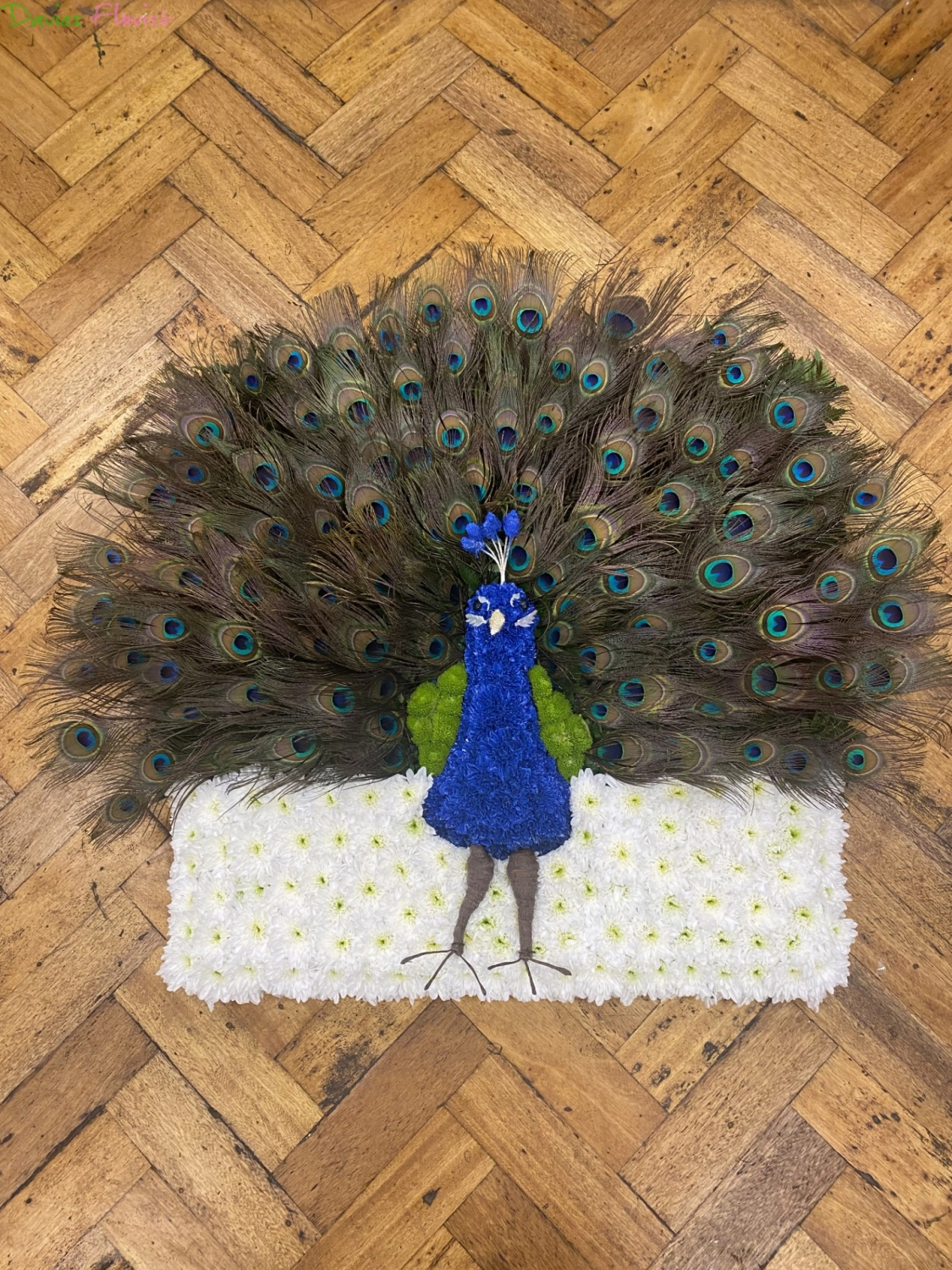 Peacock