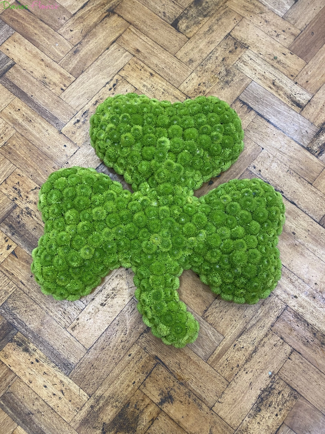 Green Shamrock Tribute